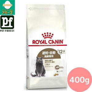 Zbg!!CJi GCWO XeACYh 12+(DEő₷Lpt[h Lp) 400g Lp hCt[hy݌ɗLzll5_܂