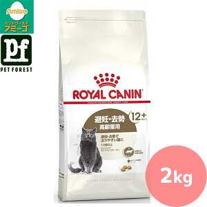 Zbg!!CJi GCWO XeACYh 12+(DEő₷Lpt[h Lp) 2kg Lp hCt[hy݌ɗLzll5_܂