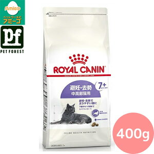 Zbg!!CJi XeACYh 7+(DEő₷Lpt[h Lp) 400g Lp hCt[hy݌ɗLzll5_܂