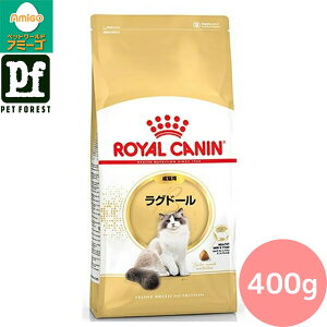 Zbg!!CJi Oh[ pt[h Lp 400g Lp hCt[hy݌ɗLzll5_܂