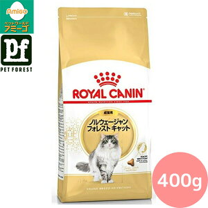 ■セットがお得!!■ロイヤルカナン ノルウェージャン フォレスト キャット専用フード 成猫用 400g 猫用 ドライフード【在庫有り】お一人様5点まで
