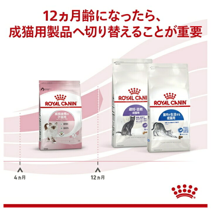 楽天市場】【3個セット】ロイヤルカナン キトン(成長後期の子猫専用 