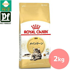 【0と5のつく日は最大500円オフ】ロイヤルカナン メインクーン 専用フード 成猫用 2Kg 猫用 ドライフード【在庫有り】お一人様5点まで■セットがお得!!■ | ロイヤルカナン 猫 メインクーン ドライフード キャットフード 成猫用 健康管理 2kg 獣医推奨 餌 ねこフード