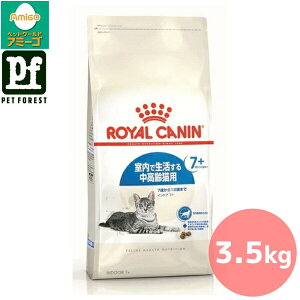 y05̂͍ő500~ItzCJi ChA 7+(Ő7Έȏ̔Lpt[h Lp) 3.5kg Lp hCt[hy݌ɗLzll5_܂ŁZbg!! | 