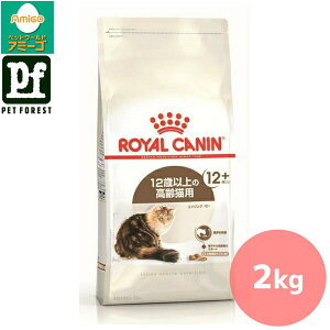 Zbg!!CJi GCWO 12+(12Έȏ̔Lpt[h Lp) 2kg Lp hCt[hy݌ɗLzll5_܂