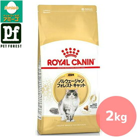 【0と5のつく日は最大500円オフ】ロイヤルカナン ノルウェージャン フォレスト キャット専用フード 成猫用 2kg 猫用 ドライフード【在庫有り】お一人様5点まで■セットがお得!!■ | ロイヤルカナン 猫 ノルウェージャン フォレスト キャット 成猫用 キャットフード