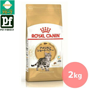 ■セットがお得!!■ロイヤルカナン アメリカン ショートヘアー 専用フード 成猫用 2kg 猫用 ドライフード【在庫有り】お一人様5点まで