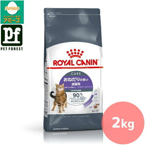 Zbg!!CJi Ay^Cg Rg[(˂̑Lpt[h Lp) 2kg Lp hCt[hy݌ɗLzll5_܂