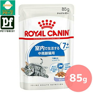 y05̂͍ő500~ItzCJi ChA 7+ [[(Ő7Έȏ̔Lpt[h Lp) 85g Lp EFbgt[hy݌ɗLzll5_܂ŁZbg!