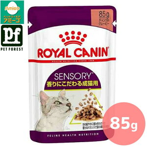 Zbg!!CJi ZT[ X(LpEFbgt[h Lp) 85g Lp EFbgt[hy݌ɗLzll5_܂