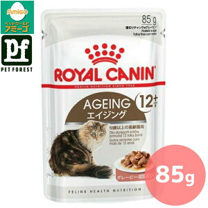 Zbg!!CJi GCWO 12+ EFbg(LpEFbgt[h Lp) 85g Lp EFbgt[hy݌ɗLzll5_܂