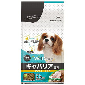 C[X^[ EFPA LoAp A_g`VjA 2.7kg