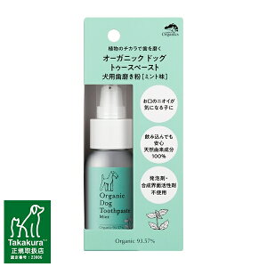 VY 13M205TPM I[KjbN hbO gD[Xy[Xg ~g