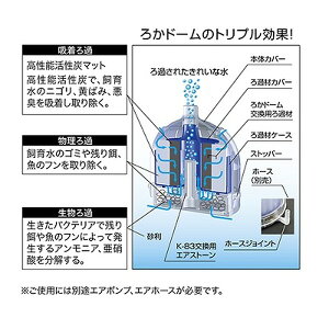 ���i�摜