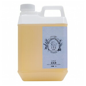 bhn[g R їp 2L [4562233455133]