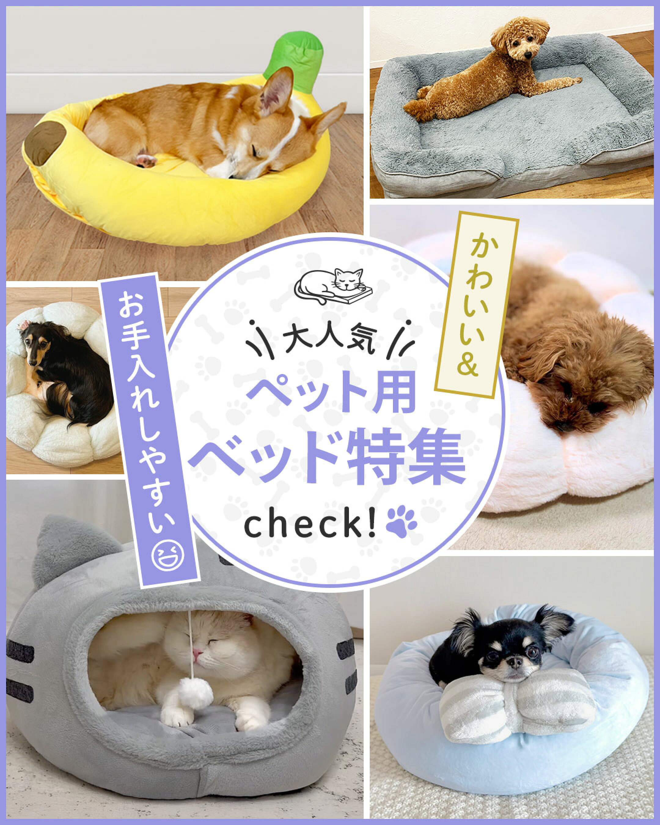 あったか！ぽかぽか特集