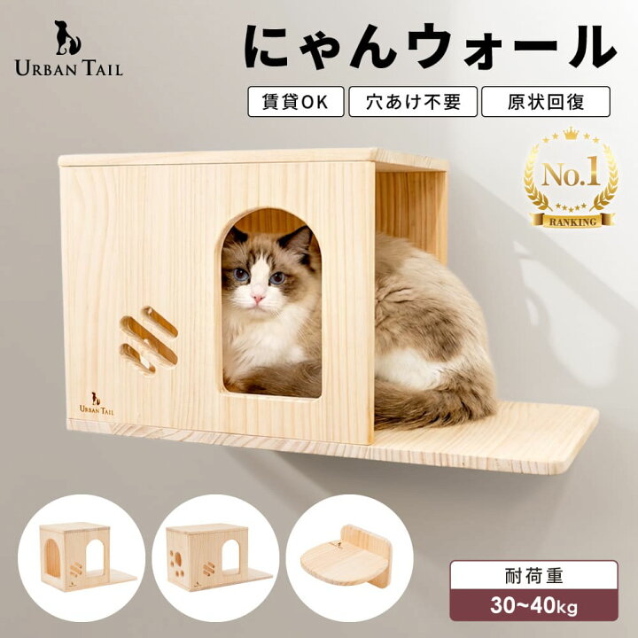 楽天市場】【LINE追加で10％OFFクーポン配布！】 キャットウォーク 壁 