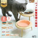 【全品10%オフクーポン！11日01:59迄】【SNSで話題！楽天1位】 フードボウル 犬 猫 食器台 高さ調節 選べる10色 ペット 犬用 猫用 中型犬 小型犬 木製 フードスタンド 陶器 フードボウル 食器スタンド 犬用食器 猫用食器 皿 えさ エサ 水飲み ご飯 ねこ PETFUN ペットファン