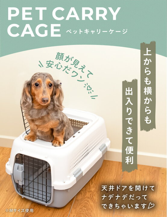 楽天市場】【全品5％OFFクーポン！4/18限定】犬 キャリーケース L 