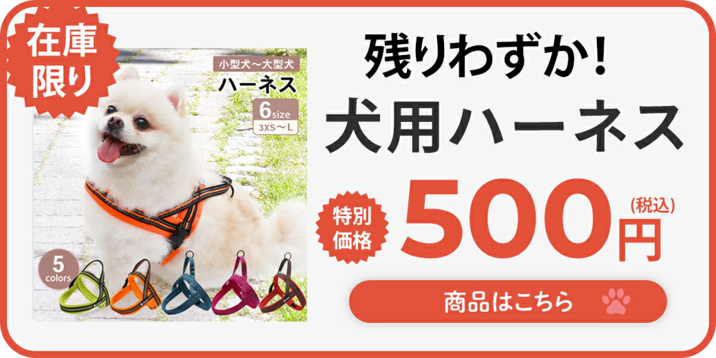 楽天市場 | PET FUN（ペットファン） - お買い物マラソン！クーポン 