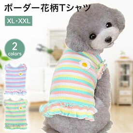 【8％OFFクーポン配布！6/15限定】ボーダー花柄ドッグウェア XL・XXLサイズ 犬服 犬の服 ペット服 ドッグウェア ドッグウエア いぬ ペット トップス 春夏 秋冬 お揃い ペア 散歩 おしゃれ 可愛い ワンピース ランキング 女の子 小型犬 PETFUN ペットファン