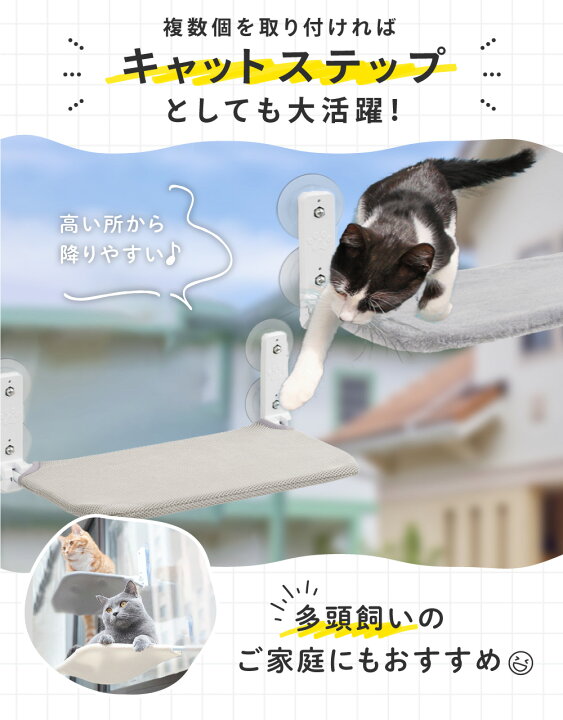 楽天市場】【10%オフクーポン！20日限定！】猫 ハンモック 窓 猫 
