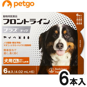 ptgCvXhbOXL 40kg`60kg 6{i6sybgjipij