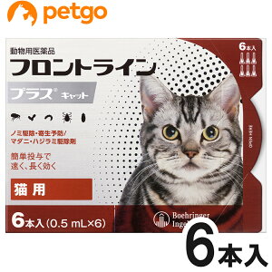 猫用フロントラインプラスキャット 6本（6ピペット）（動物用医薬品）【あす楽】