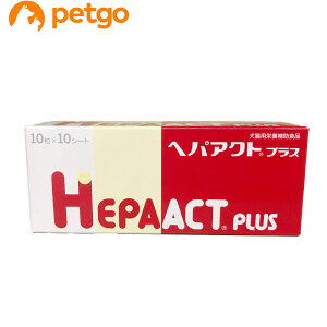 wpANgvX Lp 10×10V[g