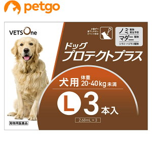 xbc hbOveNgvX p L 20kg`40kg 3{ (pi)