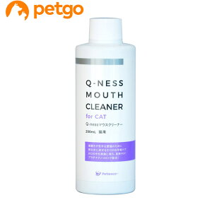 Q-ness}EXN[i[Lp 200mL