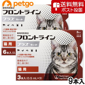 【ネコポス(同梱不可)】猫用フロントラインプラスキャット 9本（9ピペット）（動物用医薬品）【あす楽】