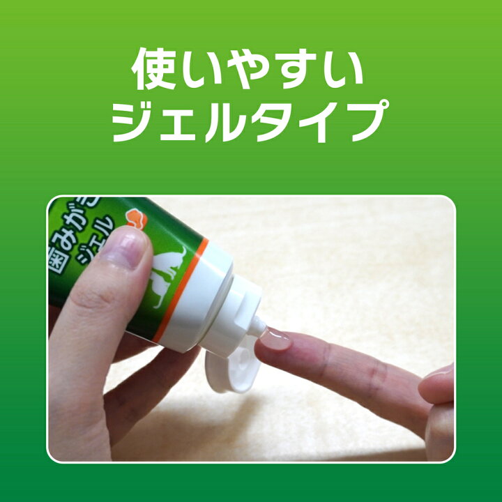 ベビーグッズも大集合 犬 猫用 国産 デンタルケア 歯磨き ライオン Petkiss 歯みがき ジェル リーフの香り 40g ペットキス デンタル 口臭 歯垢 ケア すすぎ不要 食品素材 獣医推奨 Qdtek Vn