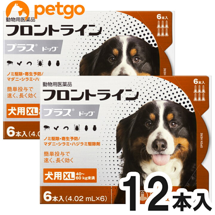 楽天市場 2箱セット 犬用フロントラインプラスドッグxl 40kg 60kg 6本 6ピペット 動物用医薬品 あす楽 ペットゴー 楽天市場店 楽天市場 2箱セット 犬用フロントラインプラスドッグxl 40kg 60kg 6本 6ピペット 動物用医薬品 あす楽 ペットゴー 楽天市場店