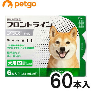 y10ZbgzptgCvXhbOM 10kg`20kg 6{i6sybgjipij