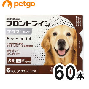 y10ZbgzptgCvXhbOL 20kg`40kg 6{i6sybgjipij