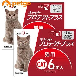 【5%OFFクーポン】【2箱セット】ベッツワン キャットプロテクトプラス 猫用 6本 (動物用医薬品)【あす楽】