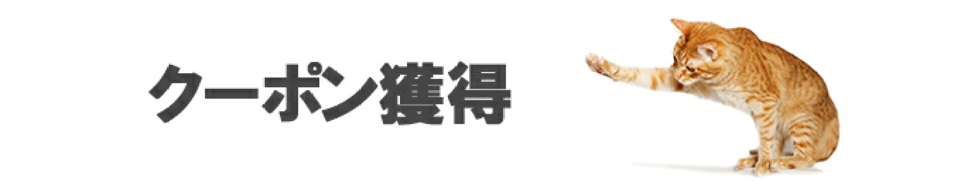 クーポン配布ページ