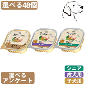 ニュートロ シュプレモ カロリーケア 選べる2箱(24個×2箱) 子犬用・成犬用・シニア犬用 送料無料