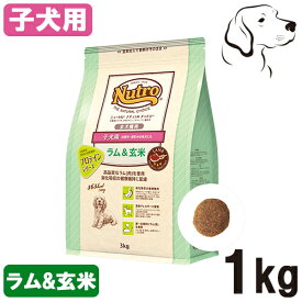 ニュートロ ナチュラルチョイス 全犬種用 子犬用 ラム＆玄米 1kg・3kg・6kg
