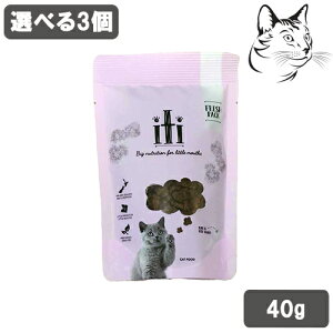 y}\Ԃ͑SiP2{ȏz CeB Lp GAhCt[h 40g Iׂ3 