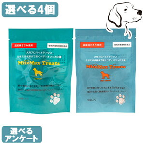  p }Cg}bNXg[c Iׂ4 (^p / E^p) 