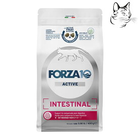 在庫処分品 フォルツァ10 アクティブシリーズ 愛猫用 インテスティナル（胃腸）小粒 400g