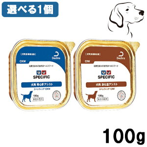 fN XyVtBbN p EFbg Iׂ1