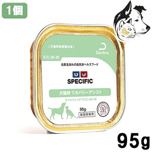 y1P3{ȏz fN XyVtBbN ELp EFbg Jo[AVXg F/C-IN-W 1