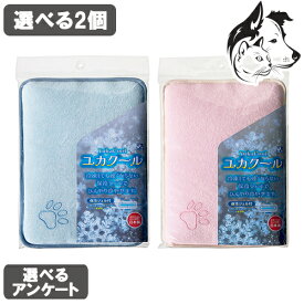 【マラソン中はP2倍以上】ユカクール 専用保冷剤付き 選べる2個 送料無料