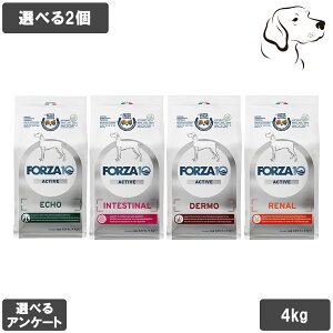 フォルツァ10 アクティブシリーズ 愛犬用 中粒 4kg 選べる2個 送料無料