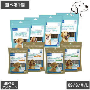 y}\P3{ȏz robN p CETxWfgtbVEtbNXE[ Iׂ1 