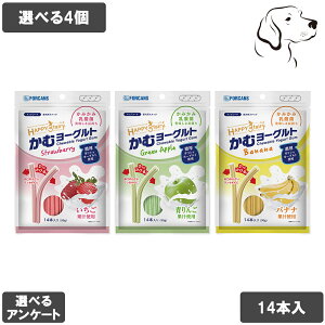 tH[LX nbs[EX[tFA[ ރ[Og Iׂ4 