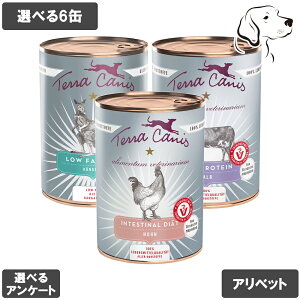 y}\P3{ȏz eJjX p Axbg 400g Iׂ6 